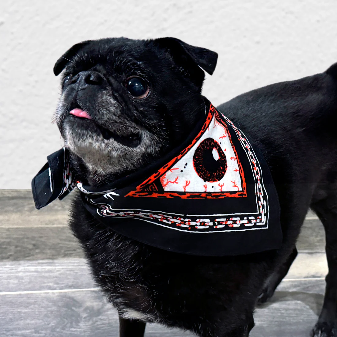 Fangoria Bandana (REGAL) - Image 2